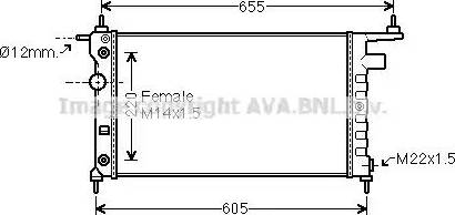 Ava Quality Cooling OL2184 - Радиатор, охлаждение двигателя autospares.lv