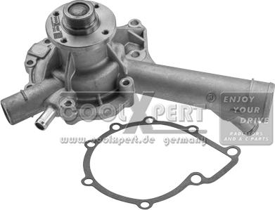 BBR Automotive 001-60-04365 - Водяной насос autospares.lv