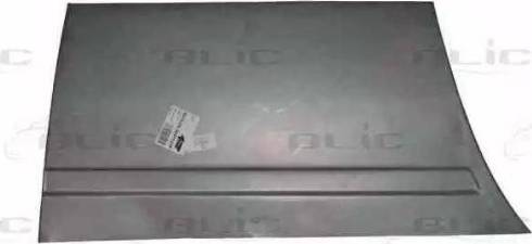 BLIC 6015-00-3541121P - Обшивка двери autospares.lv