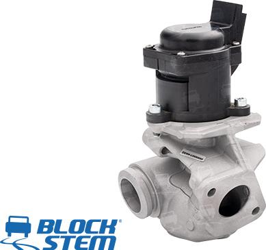 BlockStem EGR0033 - Клапан возврата ОГ autospares.lv