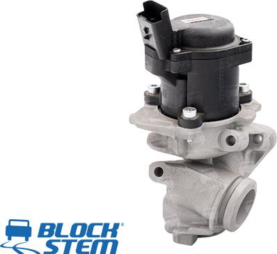 BlockStem EGR0032 - Клапан возврата ОГ autospares.lv