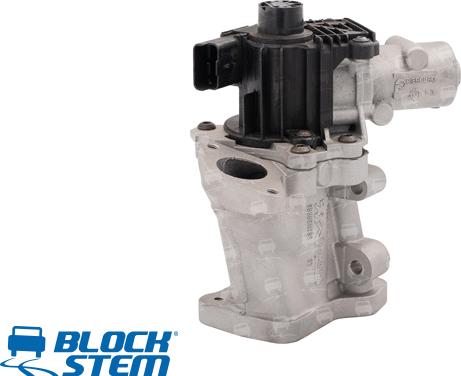 BlockStem EGR0156 - Клапан возврата ОГ autospares.lv