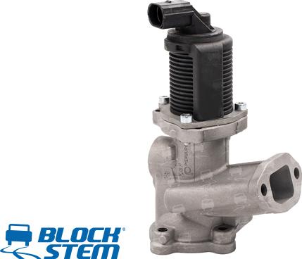 BlockStem EGR0130 - Клапан возврата ОГ autospares.lv