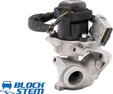 BlockStem EGR0124 - Клапан возврата ОГ autospares.lv