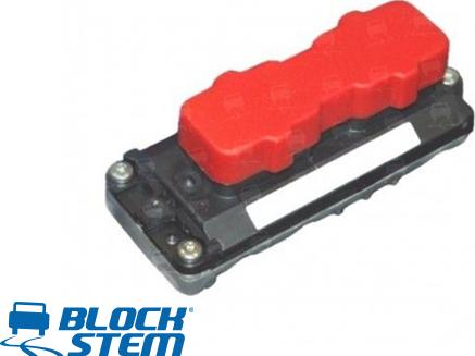 BlockStem IAW0001R - Блок управления двигателем ЭБУ autospares.lv