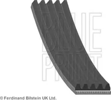 Blue Print AD05R1010 - Поликлиновой ремень autospares.lv