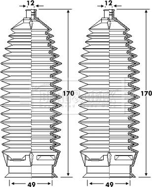 Borg & Beck BSG3406 - Комплект пыльника, рулевое управление autospares.lv