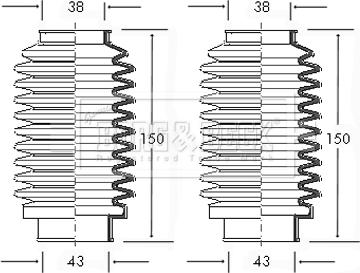 Borg & Beck BSG3000 - Комплект пыльника, рулевое управление autospares.lv