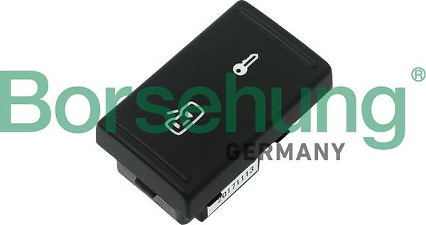 Borsehung B11441 - Выключатель, фиксатор двери autospares.lv