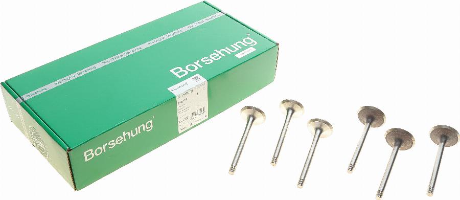 Borsehung B18765 - Клапан autospares.lv