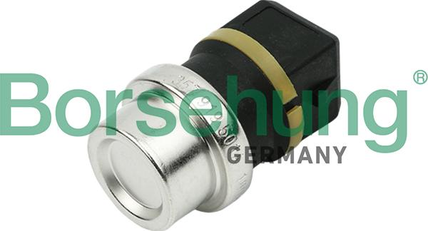 Borsehung B13134 - Датчик, температура охлаждающей жидкости autospares.lv