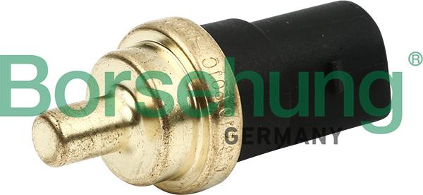 Borsehung B13133 - Датчик, температура охлаждающей жидкости autospares.lv