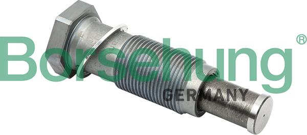 Borsehung B1T012 - Натяжитель цепи ГРМ autospares.lv