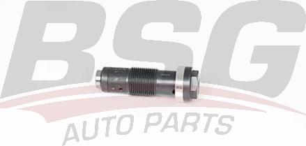 BSG BSG 60-109-005 - Натяжитель цепи ГРМ autospares.lv