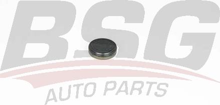 BSG BSG 60-109-018 - Крышка, распределительный вал autospares.lv