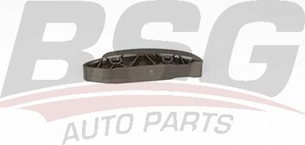 BSG BSG 60-109-039 - Планка успокоителя, цепь привода autospares.lv