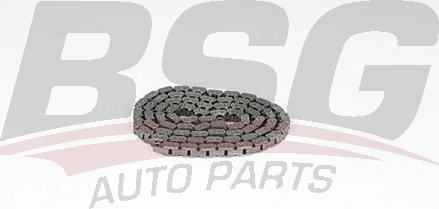 BSG BSG 60-105-001 - Цепь привода распредвала autospares.lv