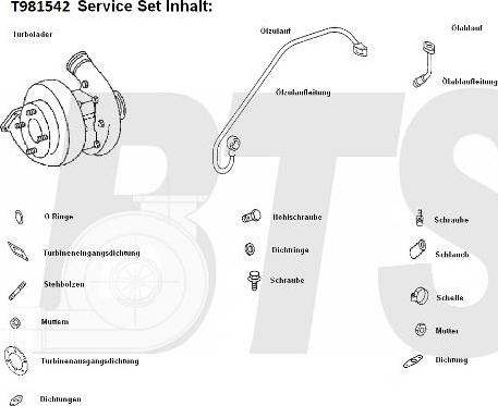 BTS Turbo T981542 - Турбина, компрессор autospares.lv