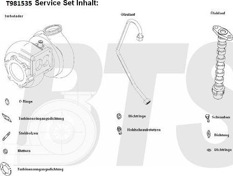 BTS Turbo T981535 - Турбина, компрессор autospares.lv