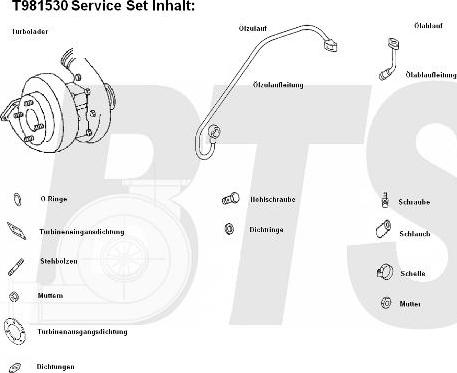 BTS Turbo T981530 - Турбина, компрессор autospares.lv