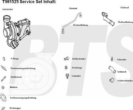 BTS Turbo T981525 - Турбина, компрессор autospares.lv