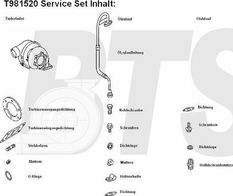 BTS Turbo T981520BL - Турбина, компрессор autospares.lv