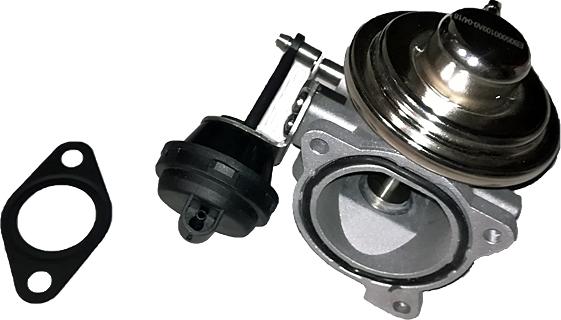 Bugiad BGR13008 - Клапан возврата ОГ autospares.lv