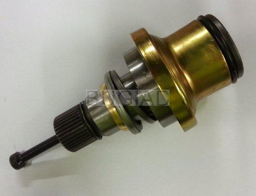 Bugiad BSP22919 - Полуосевой вал, дифференциал autospares.lv