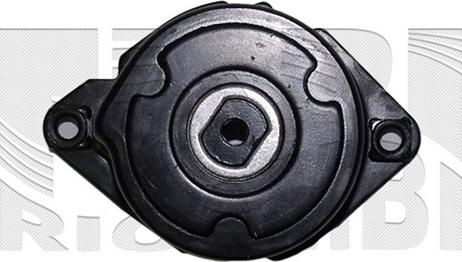 Caliber 87956 - Натяжитель, поликлиновый ремень autospares.lv