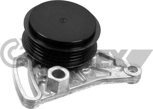 Cautex 460982 - Ролик, поликлиновый ремень autospares.lv