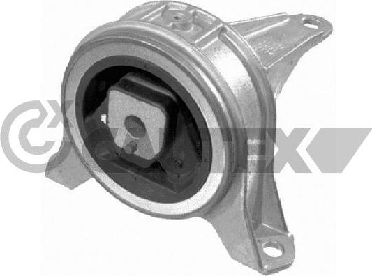 Cautex 480491 - Подушка, опора, подвеска двигателя autospares.lv