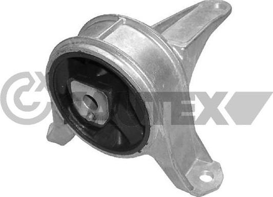 Cautex 480488 - Подушка, опора, подвеска двигателя autospares.lv