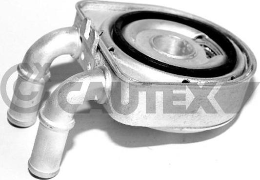 Cautex 031435 - Масляный радиатор, двигательное масло autospares.lv