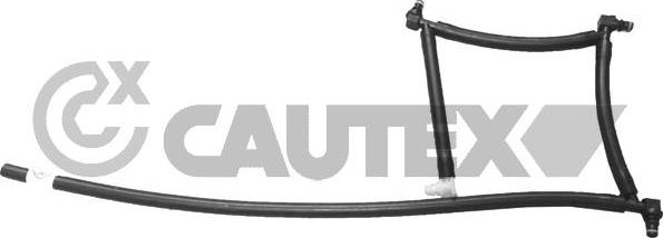 Cautex 031706 - Комплект трубопровода высокого давления, система впрыска autospares.lv