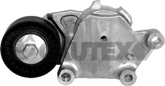 Cautex 031700 - Натяжитель, поликлиновый ремень autospares.lv