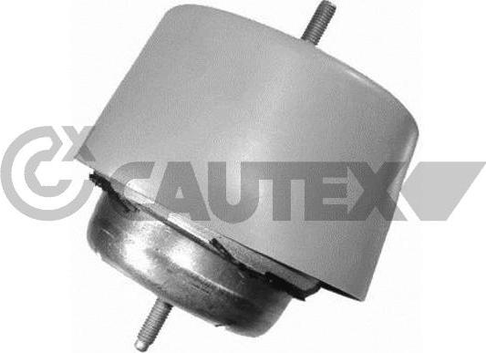 Cautex 755979 - Подушка, опора, подвеска двигателя autospares.lv