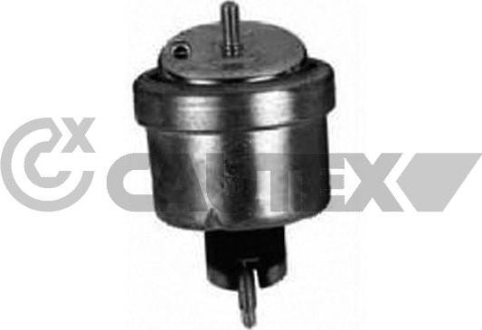 Cautex 756435 - Подушка, опора, подвеска двигателя autospares.lv