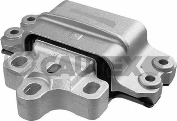 Cautex 756306 - Подушка, опора, подвеска двигателя autospares.lv