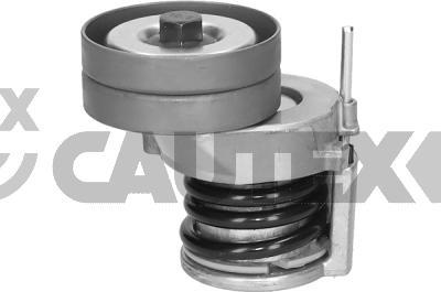 Cautex 751718 - Натяжитель, поликлиновый ремень autospares.lv