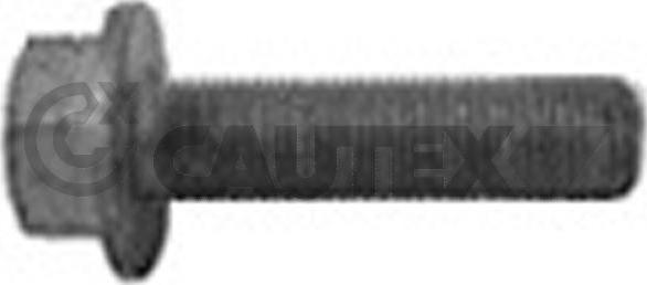 Cautex 757037 - Болт шкива autospares.lv