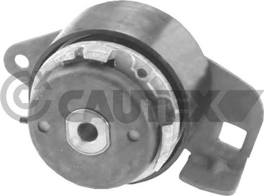 Cautex 769714 - Натяжной ролик, зубчатый ремень ГРМ autospares.lv