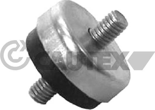 Cautex 767216 - Подвеска, радиатор autospares.lv