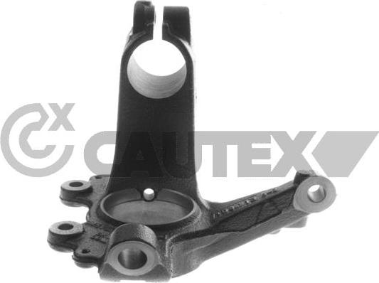 Cautex 774656 - Поворотный кулак, подвеска колеса autospares.lv