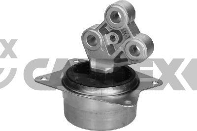 Cautex 775851 - Подушка, опора, подвеска двигателя autospares.lv