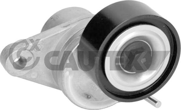 Cautex 770077 - Натяжитель, поликлиновый ремень autospares.lv