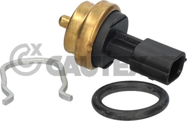 Cautex 770258 - Датчик, температура охлаждающей жидкости autospares.lv