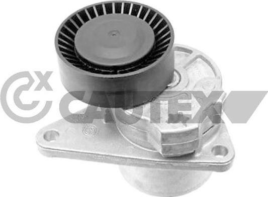 Cautex 772423 - Натяжитель, поликлиновый ремень autospares.lv