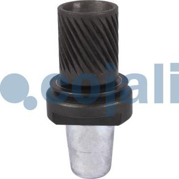 Cojali 6071000 - Ремкомплект autospares.lv