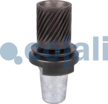 Cojali 6071001 - Ремкомплект autospares.lv