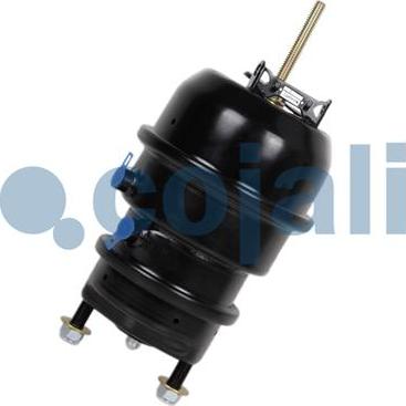 Cojali 2851109 - Комбинированный тормозной цилиндр autospares.lv